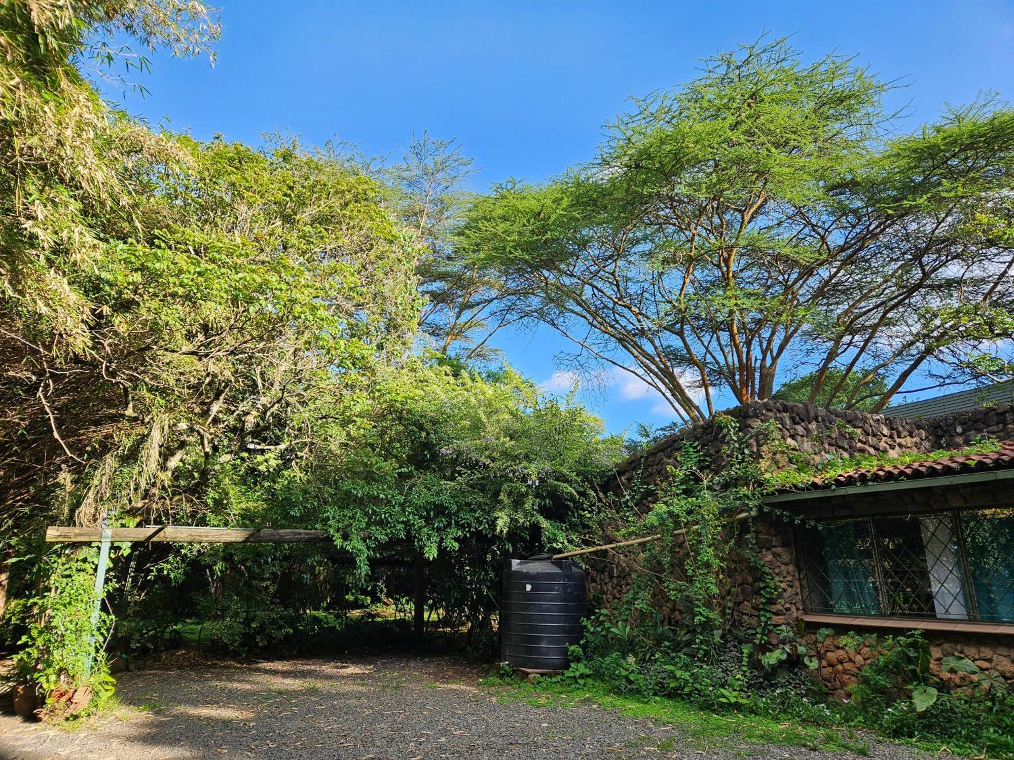 Mad Vervet Nairobi Backpackers Hostel Esterno foto